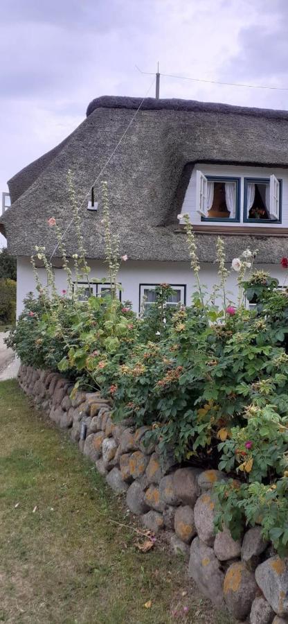 Seepferdchen Nebel Extérieur photo